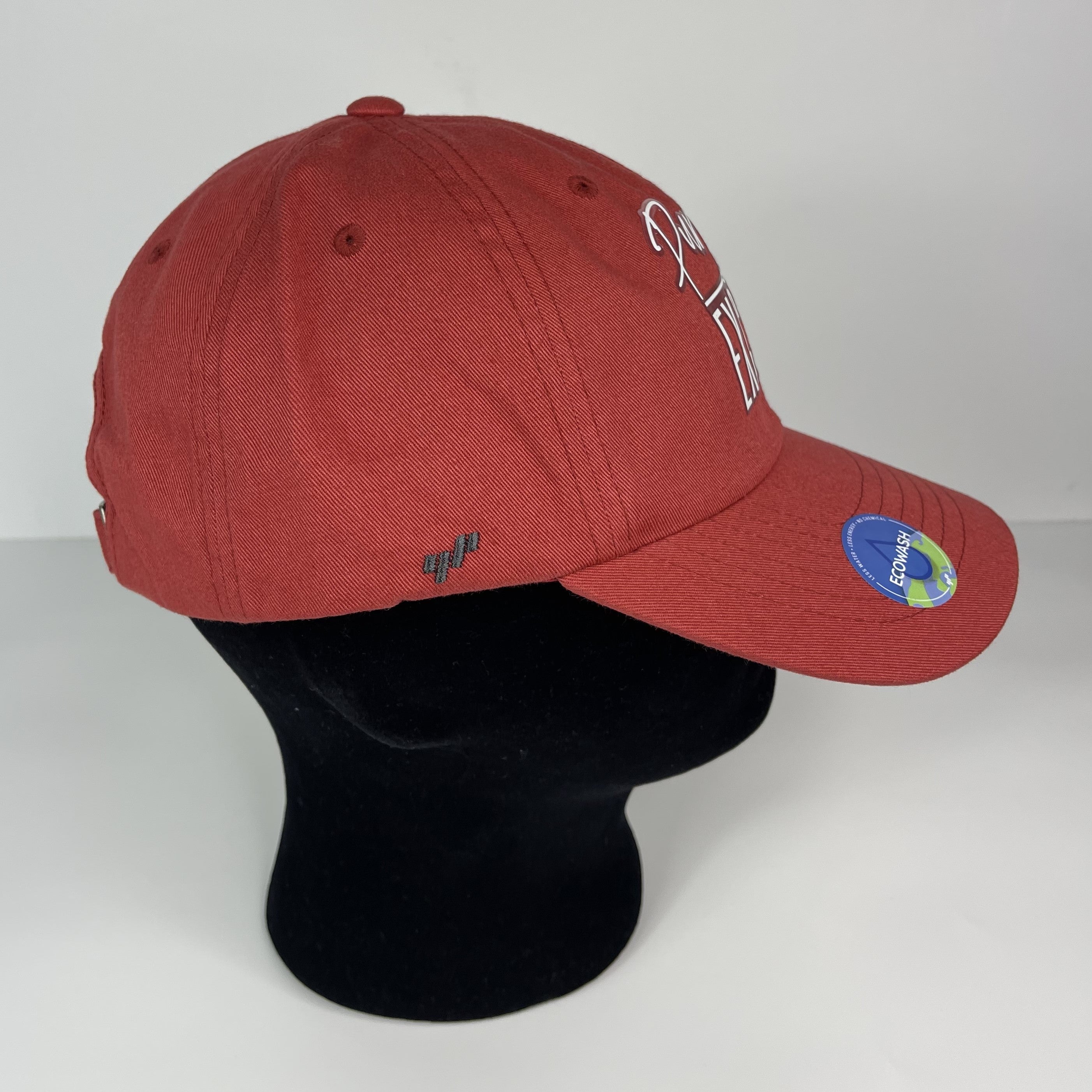 PURPOSE OVER EXCUSES RED DAD HAT